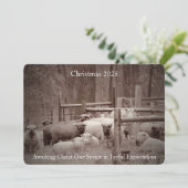 2023年のクリスマスを待つ羊 シーズンカード (スタンド正面)