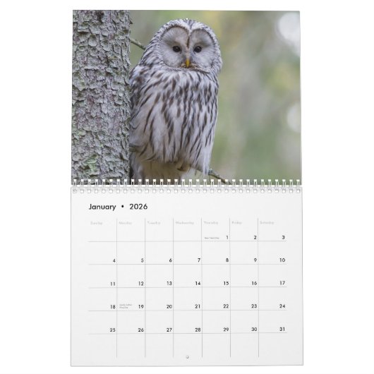 2023年の新年を迎える動物たち カレンダー (1月 2026)