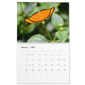 2023年の様々な蝶 カレンダー (2月 2026)