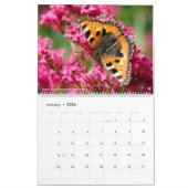 2023年の様々な蝶 カレンダー (1月 2026)