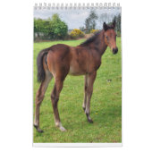 2023年のMaresとFoalsカレンダー カレンダー (カバー)