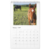 2023年のMaresとFoalsカレンダー カレンダー (2月 2027)