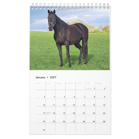 2023年のMaresとFoalsカレンダー カレンダー (1月 2027)