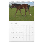 2023年のMaresとFoalsカレンダー カレンダー (3月 2027)