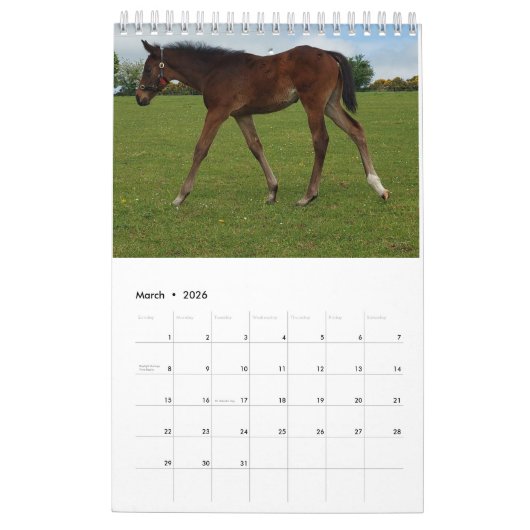 2023年のMaresとFoalsカレンダー カレンダー (3月 2026)