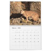 2023年カボラ・オブ・チリ カレンダー (2月 2026)