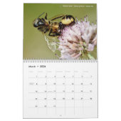 2023年カレンダー行動中の動物 カレンダー (3月 2026)