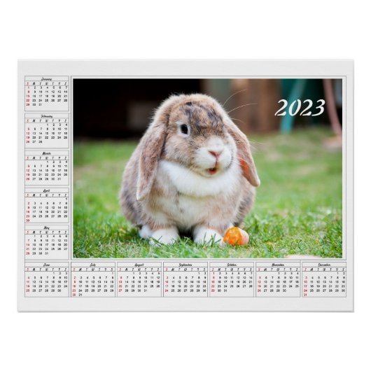 2023年カレンダー　かわいいロップイヤーラビット ポスター (正面)
