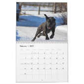 2023年カレンダー カレンダー (2月 2027)