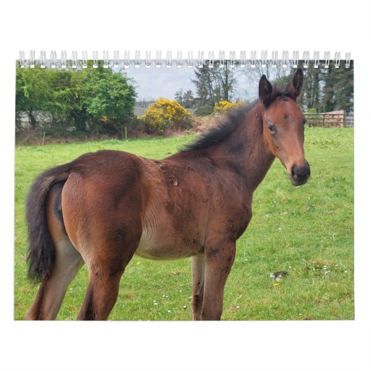 2023年カレンダーThoroughbred Mares and Foals カレンダー (カバー)
