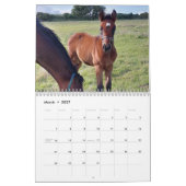 2023年カレンダーThoroughbred Mares and Foals カレンダー (3月 2027)