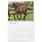2023年カレンダーThoroughbred Mares and Foals カレンダー (1月 2027)