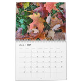 2023年ニューイングランド秋冬カレンダー カレンダー (3月 2027)