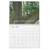 2023年ハートカレンダーのポインタPointerRescue カレンダー (3月 2027)