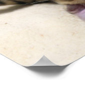 2023年ビーチで日向ぼっこする猫カレンダーポスター ポスター (角)