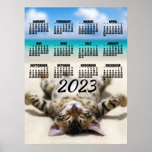 2023年ビーチで日向ぼっこする猫 カレンダーポスター ポスター