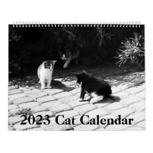 2023年モダン猫カレンダー カレンダー