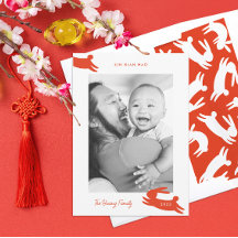 2023年中国の初のラビット写真