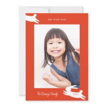 2023年中国の初のラビット写真