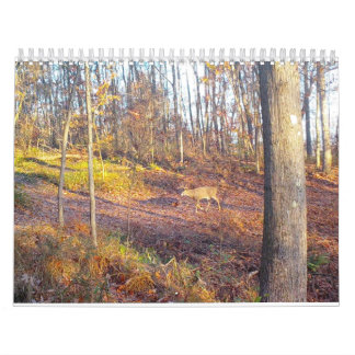 2023年自然暦 カレンダー