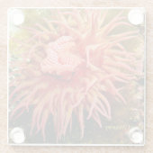 2023年西暦四月ガラスコースター ガラスコースター (裏面)