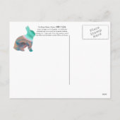 2023年間のJanz著ウサギの中国のな(占星術の)十二宮図 シーズンポストカード (裏面)