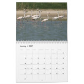 2023年鳥類暦 カレンダー (1月 2027)