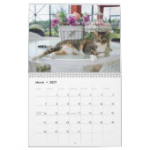 2023猫カレンダー カレンダー (3月 2027)