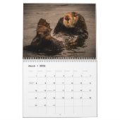 2023 California Sea Otters Wall Calendar カレンダー (3月 2026)