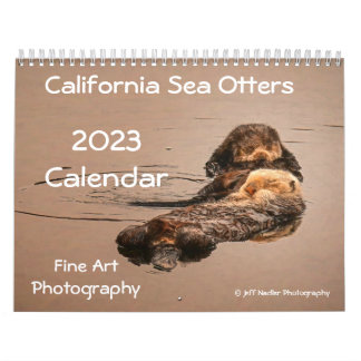 2023 California Sea Otters Wall Calendar カレンダー