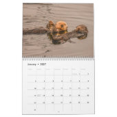 2023 California Sea Otters Wall Calendar カレンダー (1月 2027)