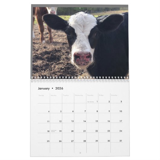 2023 Cow Calendar カレンダー (1月 2026)