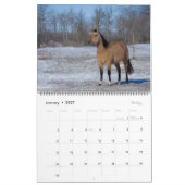 2023 Equine Photo Calendar カレンダー (1月 2027)