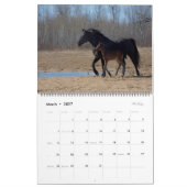 2023 Equine Photo Calendar カレンダー (3月 2027)