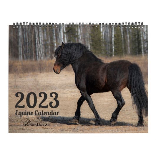 2023 Equine Photo Calendar カレンダー (カバー)