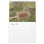 2023 George the mouse in a log pile house new カレンダー (2月 2027)