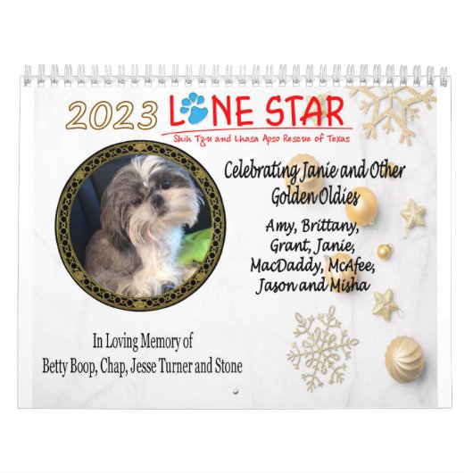 2023 LSSTLARカレンダー カレンダー (カバー)