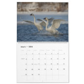 2023 Trumpeter Swan Wall Calendar カレンダー (3月 2026)