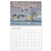 2023 Trumpeter Swan Wall Calendar カレンダー (1月 2026)