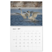 2023 Trumpeter Swan Wall Calendar カレンダー (3月 2027)