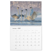 2023 Trumpeter Swan Wall Calendar カレンダー (1月 2027)