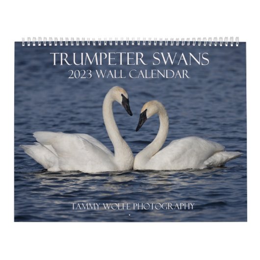 2023 Trumpeter Swan Wall Calendar カレンダー (カバー)