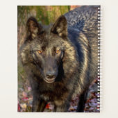 2024ウルフプランナー プランナー手帳 (裏面)