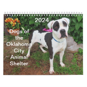 2024オクラホマシティー動物シェルターの犬 カレンダー
