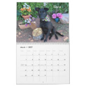 2024オクラホマシティー動物シェルターの犬 カレンダー (3月 2027)