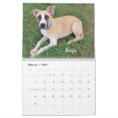 2024オクラホマシティー動物シェルターの犬 カレンダー (2月 2027)