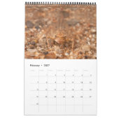 2024カレンダー – 水中競技昆虫 カレンダー (2月 2027)