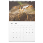 2024カレンダー – 水中競技昆虫 カレンダー (3月 2027)