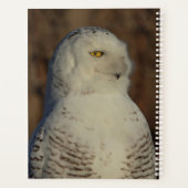 2024スノーフクロウプランナー プランナー手帳 (裏面)