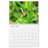 2024トンボ暦 カレンダー (3月 2026)